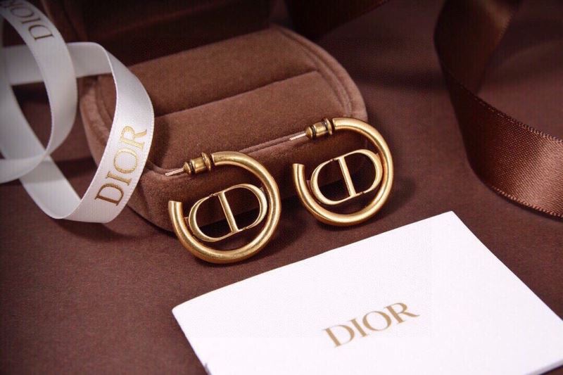 Christian Dior Earrings